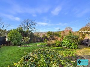 Garden - click for photo gallery